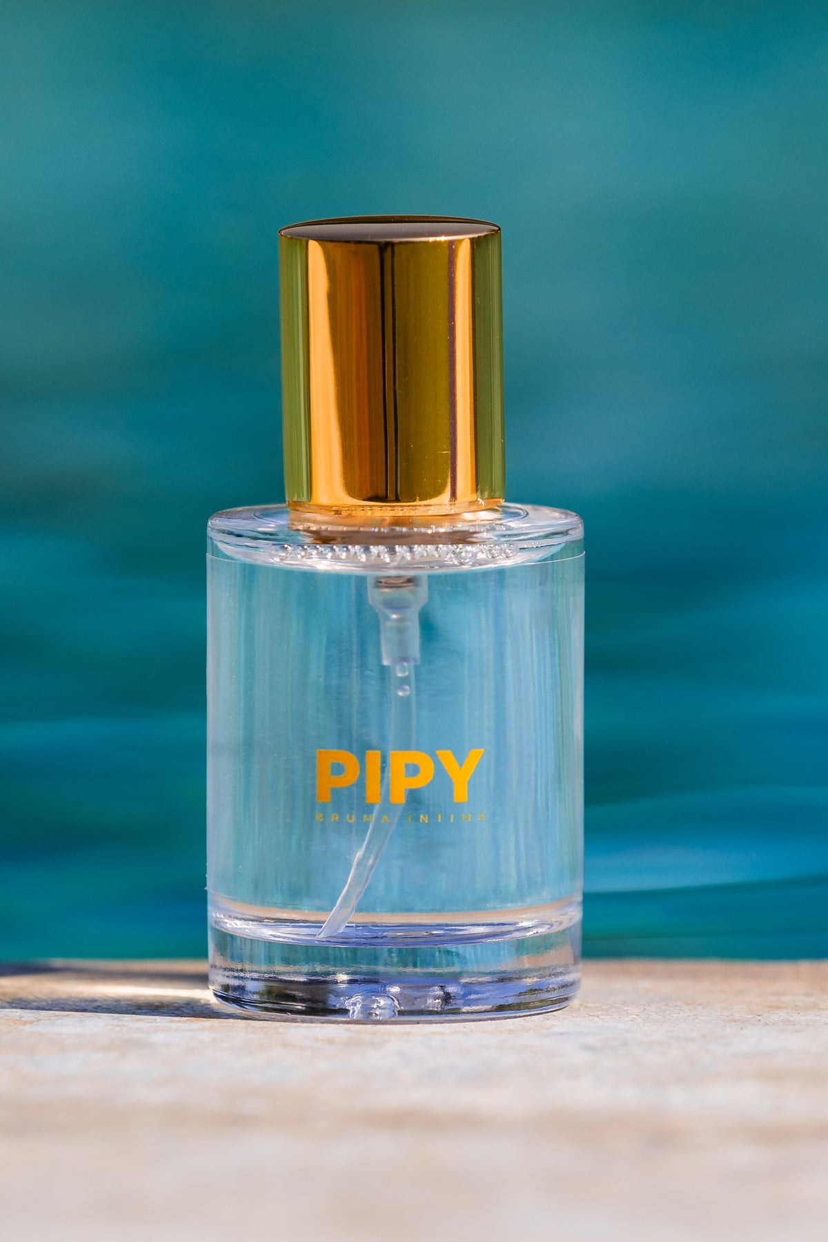 PIPY SUMMER EDITION
